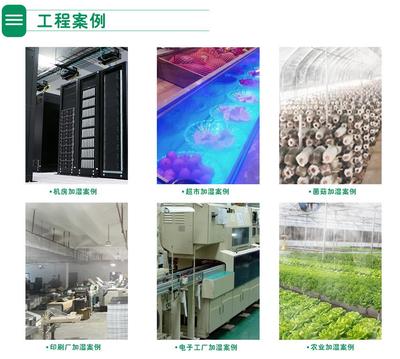 松林菌菇四管气调库加湿器节能管理服务 锁住鲜度，省出效益